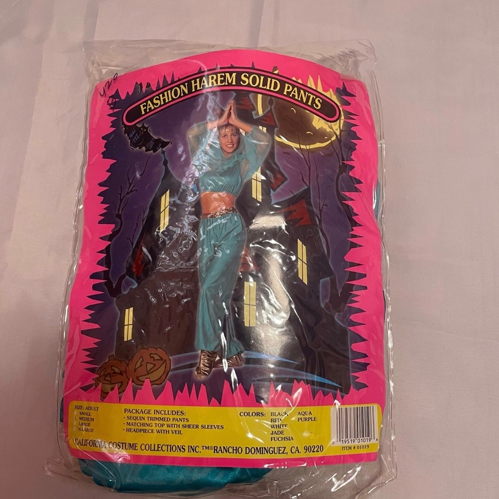 Princess Jasmine Aladdin Halloween Costume